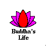 Buddha's Life