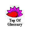 Top of Glossary